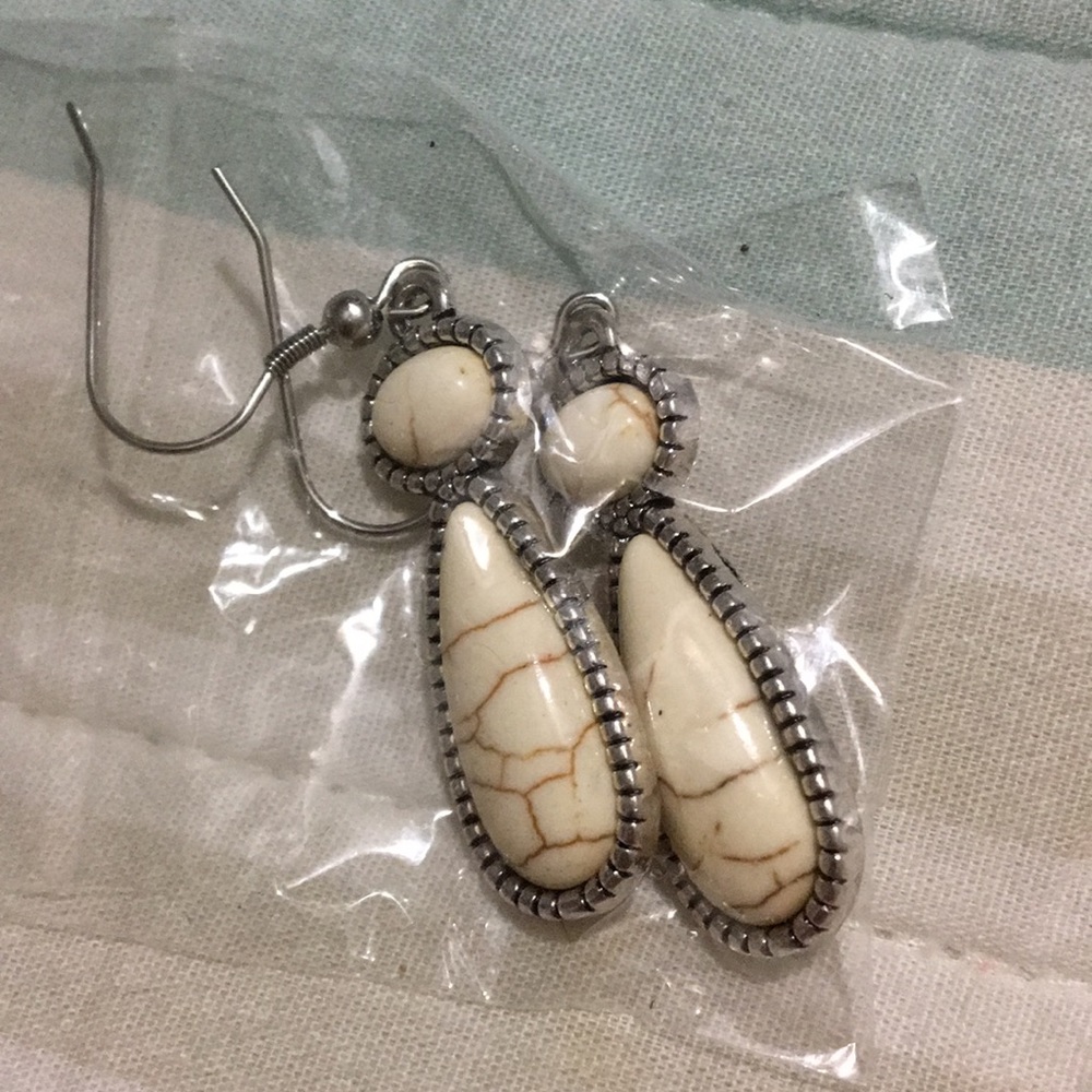 3/15 BNWT earrings